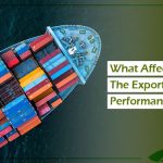 What Affects The Export Performance?