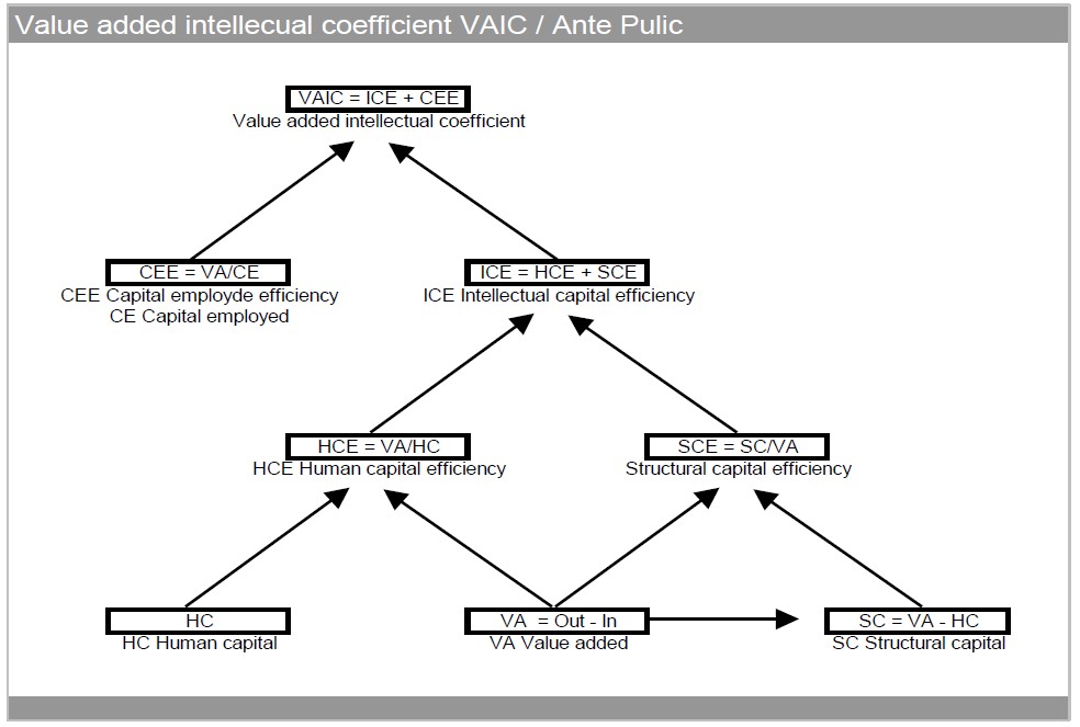 Construction of the Value Added Intellectual Coefficient (VAIC)
