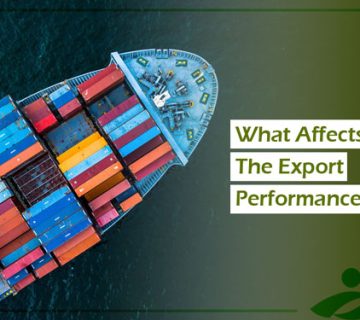 What Affects The Export Performance?