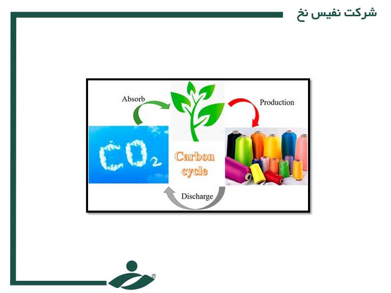 فرایند تولید و جذب و واجذب CO2